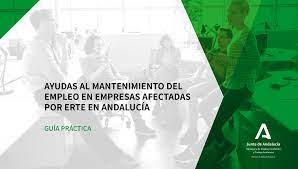 CONVOCATORIA DE AYUDAS AL MANTENIMIENTO DEL EMPLEO PARA EMPRESAS AFECTADAS POR ERTE.